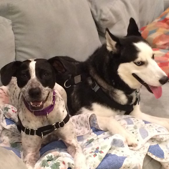 Alyssa is going live! Like this listing to be notified! - Picture 4 of 4